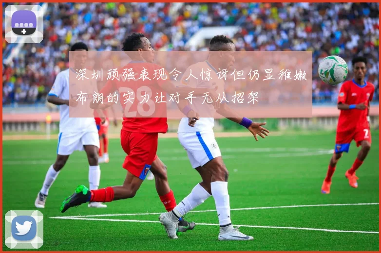 深圳顽强表现令人惊讶但仍显稚嫩布朗的实力让对手无从招架